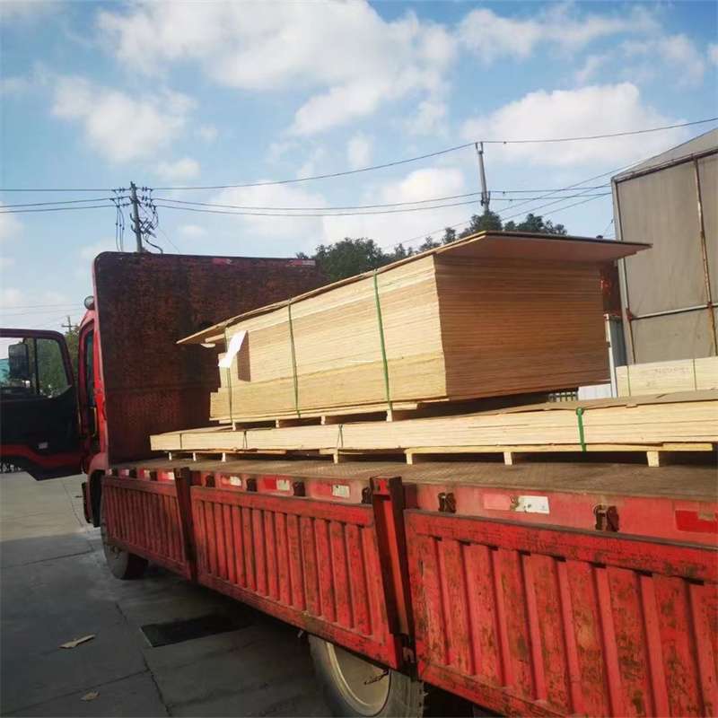 岳阳到河北物流公司——一站式服务，让货运更便捷